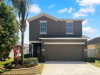 Charming two-story home with a two-car garage, landscaped yard, and a beautiful palm tree at 1311 Trailwater St, Ruskin, FL 33570
