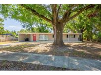 Charming single-story home featuring a welcoming facade, covered parking, and mature shade tree at 1314 Larsen Ln, Tampa, FL 33619