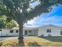 Charming single-story home with white painted exterior and a well-manicured front yard under a beautiful tree at 1207 Lorie Cir, Brandon, FL 33510