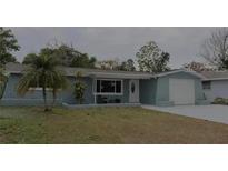 Charming single-story home with a well-maintained lawn and a cozy front porch at 3841 Chaffey Dr, New Port Richey, FL 34652