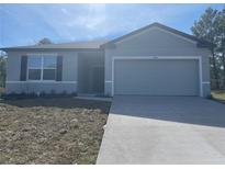 Charming single-Gathering home showcasing a well-manicured lawn and a two-car garage at 11330 Godwit Ave, Weeki Wachee, FL 34613