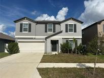 Charming two-story home with a two-car garage and well-maintained landscaping at 13344 Great Plains S Dr, Riverview, FL 33579