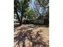 Exterior of a home showing overgrown trees and a yard covered in leaves at 8731 N 26Th St, Tampa, FL 33604