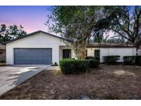 Charming single-story home featuring a well-maintained lawn, mature landscaping, and an attached two-car garage at 623 Sandy Creek Dr, Brandon, FL 33511