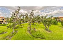 Expansive community greenspace featuring mature trees, manicured landscaping, and lush green grass at 1408 3Rd Street E Cir, Palmetto, FL 34221