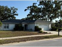 Charming single-story home featuring a well-maintained lawn and mature landscaping at 3628 Nettle Creek Ct, Holiday, FL 34691