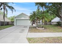 Charming single-Gathering home with a well-maintained lawn, mature palm trees, and a two-car garage at 4605 Steel Dust Ln, Lutz, FL 33559