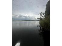 Scenic view of the lake, tall grasses, and trees under an overcast sky at 37951 Washington Loop Rd, Punta Gorda, FL 33982