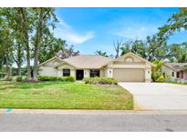 Charming single-story home with well-manicured lawn and inviting curb appeal at 2900 Hammock Dr, Plant City, FL 33566