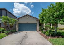 Charming single-story home with a well-maintained lawn, mature trees, and a spacious driveway leading to a blue garage door at 8410 Red Spruce Ave, Riverview, FL 33578