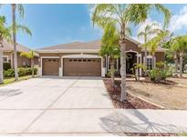 Charming single-story home with a well-maintained yard and three-car garage showcasing a well manicured lawn with palm trees at 2707 Wood Pointe Dr, Holiday, FL 34691