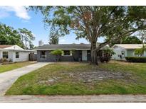 Charming single-story home with a well-maintained lawn, mature tree, and a freshly painted exterior at 9033 3Rd N St, St Petersburg, FL 33702