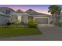 Charming single-story home with well-maintained landscaping, a two-car garage, and a beautiful palm tree at 10516 Tranquil Meadow Loop, Riverview, FL 33569