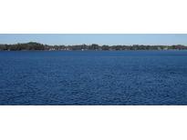 Scenic view of the calm, rippling waters of the lake at 18620 Wayne Rd, Odessa, FL 33556