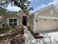 Charming single-story home with a well-maintained lawn and inviting entrance at 12421 Early Run Ln, Riverview, FL 33578