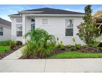 Charming single-story home with white stucco exterior, manicured landscaping, and a welcoming blue front door at 28761 Sweet Persimmon Dr, Wesley Chapel, FL 33543