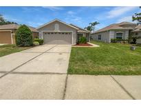 Charming single-story home with a well-manicured lawn and a two-car garage with extended driveway at 2936 Banyan Hill Ln, Land O Lakes, FL 34639