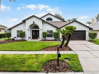 Charming single-story home boasting a well-manicured lawn and a two-car garage at 9246 Dayflower Dr, Tampa, FL 33647