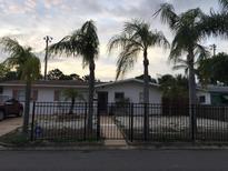Charming single-story home with a well-kept lawn, mature palm trees, and a black metal fence at 3680 Whiting Se Dr, St Petersburg, FL 33705