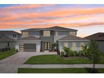 Beautiful two-story home showcasing a modern elevation, well-manicured lawn, and two-car garage at 9201 Sanders Tree Loop, Wesley Chapel, FL 33545