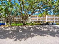 Exterior view of the building showing landscaping and cars in the parking lot at 821 Patricia Ave # 202, Dunedin, FL 34698