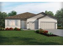 Charming single-story home with a well-manicured lawn and a two-car garage at 13817 Richland Gulf Cir, Parrish, FL 34219