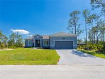 Charming single-story home with a well-manicured lawn, gray brick driveway, and an attached two-car garage at 14073 Naylor Ave, Port Charlotte, FL 33981
