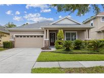 Charming single-story home featuring a manicured lawn, neutral paint, and a two car garage at 20074 Heritage Point Dr, Tampa, FL 33647