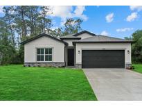 Inviting single-story home with lush lawn, gray roof, dark garage door, and stylish architectural details at 3913 Eagle Pass St, North Port, FL 34286