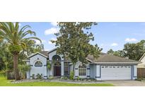 Charming one-story home with a blue exterior, a well-manicured lawn, and beautiful mature landscaping at 28707 Raleigh Pl, Wesley Chapel, FL 33545