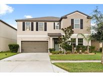 Charming two-story home with a two-car garage and well-manicured front yard and a light green door at 4704 Wild Senna Blvd, Tampa, FL 33619