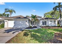Charming one-story home featuring a manicured lawn, mature palm trees, and an attached two-car garage at 11019 Pine Lilly Pl, Lakewood Ranch, FL 34202