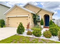 Charming single-Gathering home with a well-maintained front yard and a cozy, inviting entrance at 11124 Leland Groves Dr, Riverview, FL 33579
