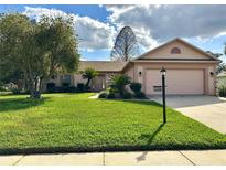 Charming single-story home boasts a well-manicured lawn and inviting curb appeal, perfect for a Gathering at 9223 Pebble Creek Dr, Tampa, FL 33647