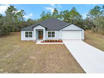 Charming single-Gathering home with a well-maintained lawn, light blue paint and attached two car garage at 14183 English Sparrow Rd, Weeki Wachee, FL 34614