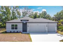 Charming single-story home featuring a three-car garage and beautifully landscaped front yard at 1696 Bendix Ter, North Port, FL 34286