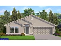 Charming single-story home featuring a gray exterior, landscaped yard, and a two-car garage at 4922 Sutherland St # Lot 68, Spring Hill, FL 34609