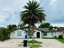Charming home featuring a brick driveway, a white exterior, and a mature palm tree in the front yard at 6806 Monique Ave, Tampa, FL 33625