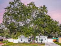 Charming single-story home featuring a large tree providing shade and a well-maintained lawn at 4201 S Renellie Dr, Tampa, FL 33611