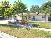 Charming single-story home featuring a well-manicured lawn and colorful landscaping at 7943 Woodvine Cir, Tampa, FL 33615