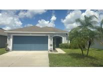 Well-maintained home with a blue garage door, palm trees, and a manicured lawn at 13443 Graham Yarden Dr, Riverview, FL 33579