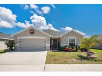 Charming single-story home boasts a two-car garage, well-kept lawn, and tropical landscaping in a desirable neighborhood at 11820 Stone Pine St, Riverview, FL 33569