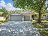 Charming single-story home with a three-car garage and mature trees at 19713 Ellendale Dr, Land O Lakes, FL 34638