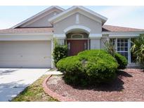 Charming home exterior showcasing a well-manicured lawn and inviting front entrance at 10308 Soaring Eagle Dr, Riverview, FL 33578