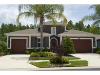 View 1694 Whitewillow Dr Wesley Chapel FL