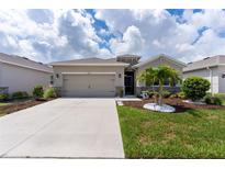 View 31396 Tansy Bnd Wesley Chapel FL