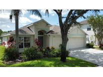 View 12014 Northumberland Dr Tampa FL
