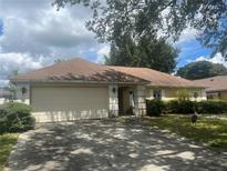 One-story house with a beige exterior and a garage at 1404 Midoneck Ct, Valrico, FL 33596