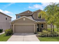 View 4901 Grist Mill Ct Wimauma FL