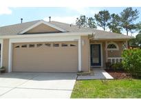 View 31012 Prout Ct Wesley Chapel FL